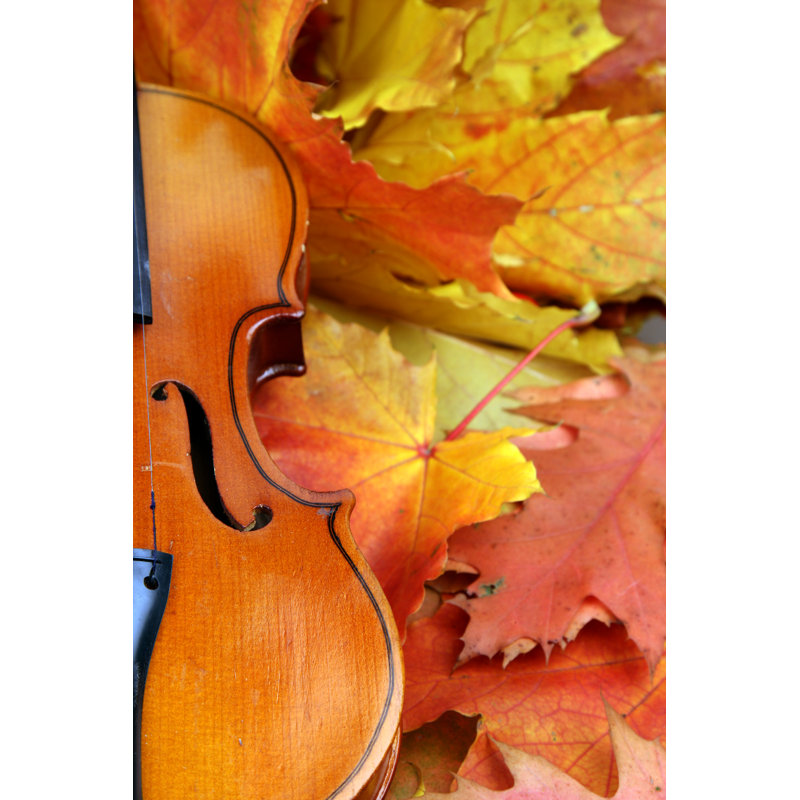 Autumn Music by Mashabuba - Wrapped Canvas Print, 122cm H x 81cm W x 3.8cm D