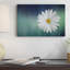 «Wood Series: A Daisy», art mural sur toile-24714589