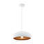 Raina 1 - Light Dome Pendant