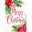 Joyeux Noël poinsettias-1435320893-1413104468-1413104469