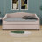 Upholstered Daybed With Light And Trundle-432381085