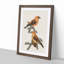 Red Crossbill Birds by Von Wright - Picture Frame Painting Print-55598023-55598022
