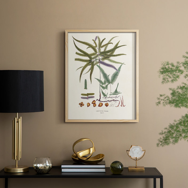 Botanical Society Ferns VIII, reproduction encadrée - bois massif, H 30 po x l 24 po