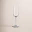Hammershoi Champagne Glass-489286838