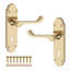 Oakley Lever on Backplate Lock Polished Brass