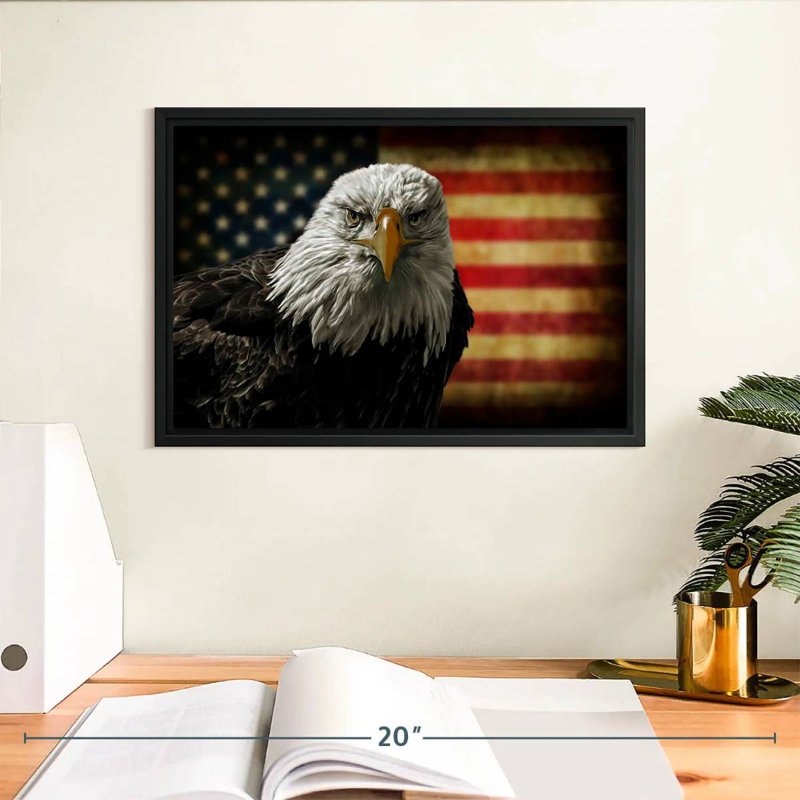 Aigle et drapeau de l'Amérique, Cadre flottant noir, 13 po x 9 po