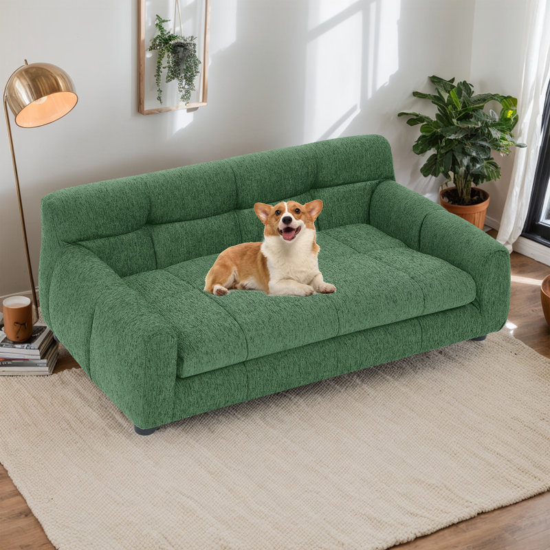 Canapé pour animaux de compagnie , Vert