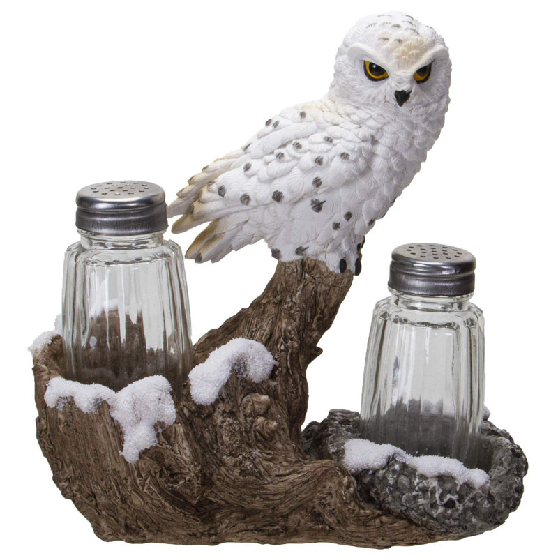 Ensemble d’agitateur à poivre et sel hibou pacific
