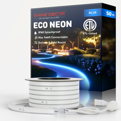 Cordon néon 120V Shine Decor bleu
