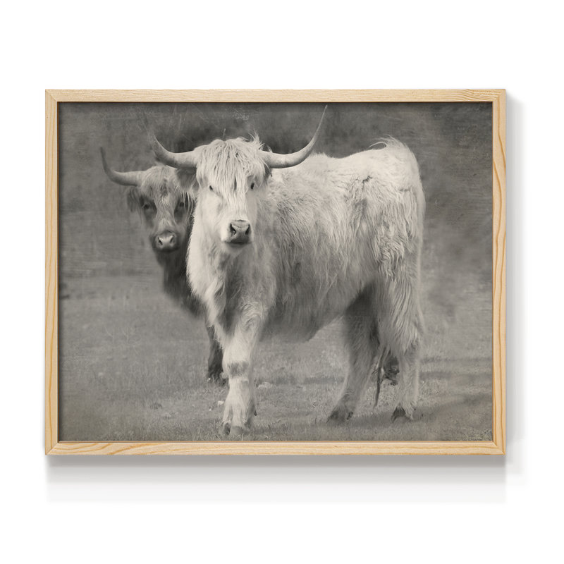 Highland Cattle Inseparable -Framed Print - Restickable, H 8 po x l 10 po, Naturel
