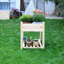 Raised Garden Bed-1505342875