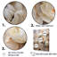 Ranunculus Radiance Treasure V - Ranunculus Wall Art Living Room-97082648-97082653