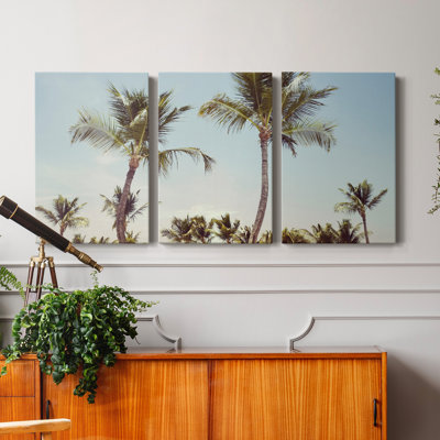 " Aruba Palm " 3 - Pieces
