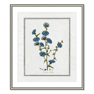 Colombe "Soft Botanical I" Print