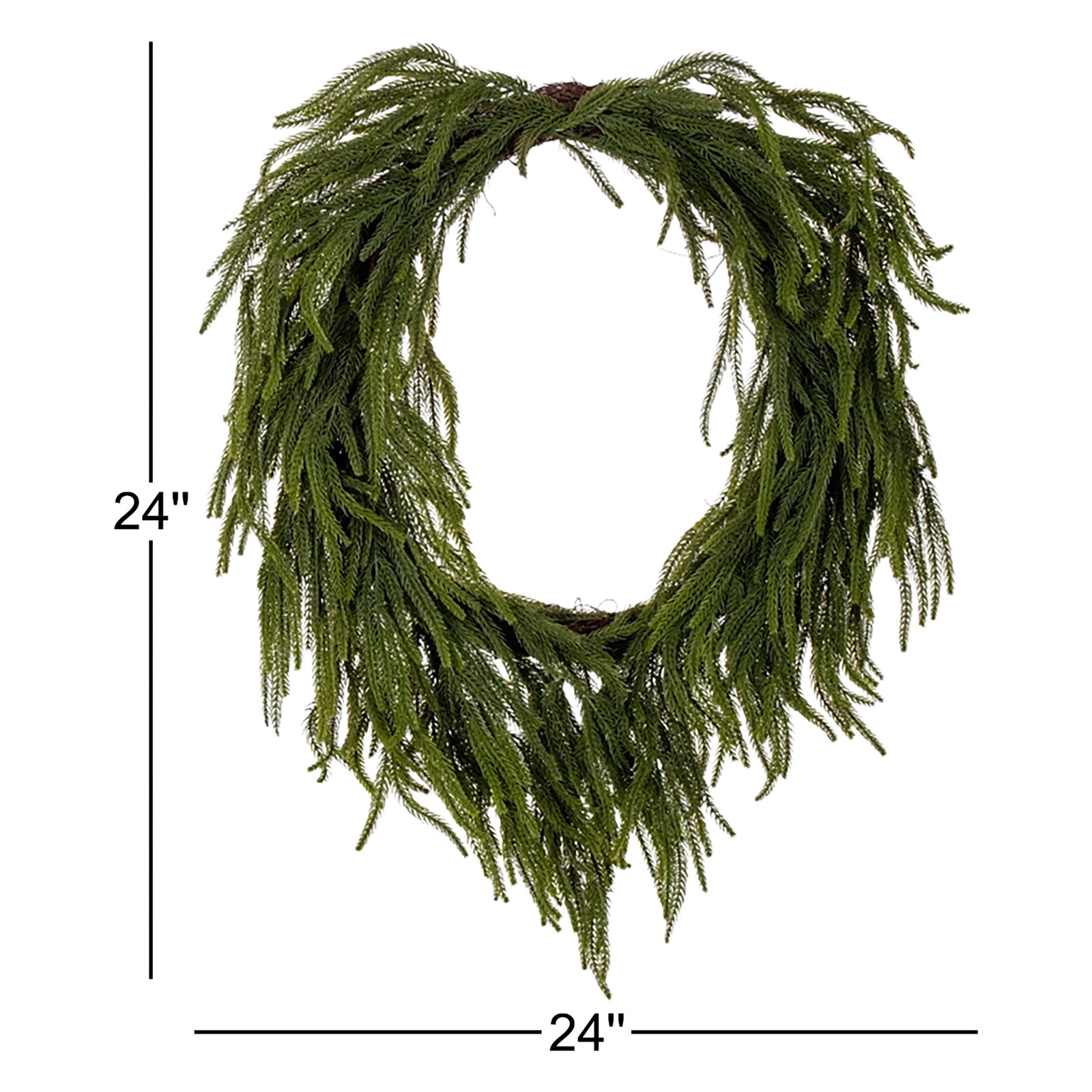  30" Green Norfolk Pine Wreath., 24" x 24" 
