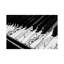 Piano - Wrapped Canvas Print-42155632