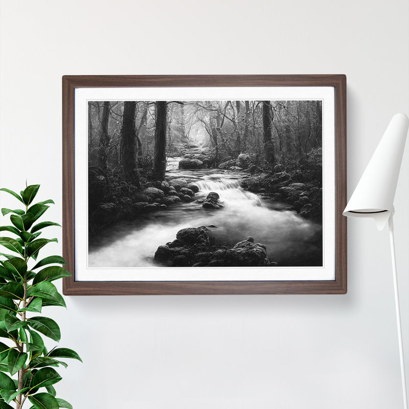 Forest Stream - Framed Print, 46cm H x 64cm W, Walnut Framed
