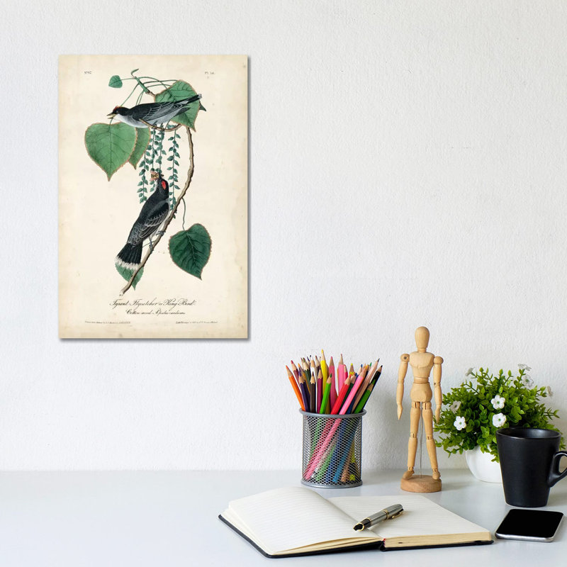 Flycatcher And King Bird by John James Audubon - Wrapped Canvas Gallery-Wrapped Canvas Giclée, 20.32 cm H x 30.48 cm W