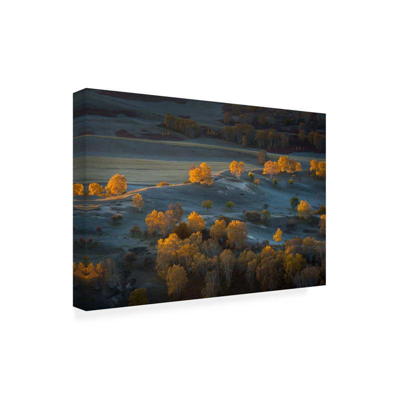 Art sur toile C. C. Mei Prairie Light, H 16 po x l 24 po