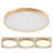 Teliea Acrylic LED Flush Mount