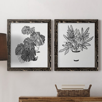 B and W d'intérieur plante III - ensemble de 2 reproductions d'art