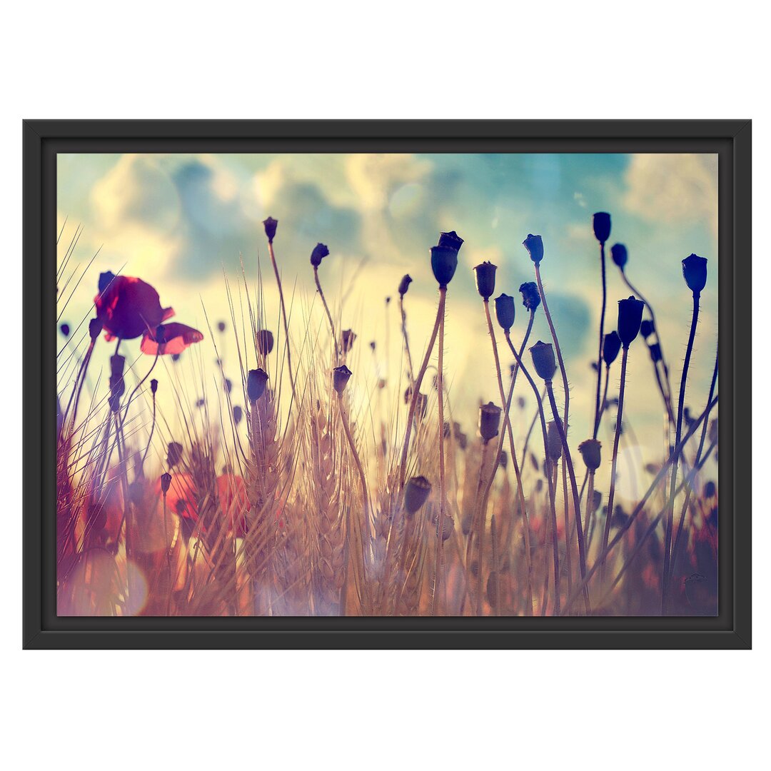 Gerahmtes Poster Poppy Wheat Field