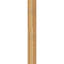 Sapin Douglas-109314306-113718480