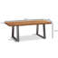 Grasonville Sled Coffee Table