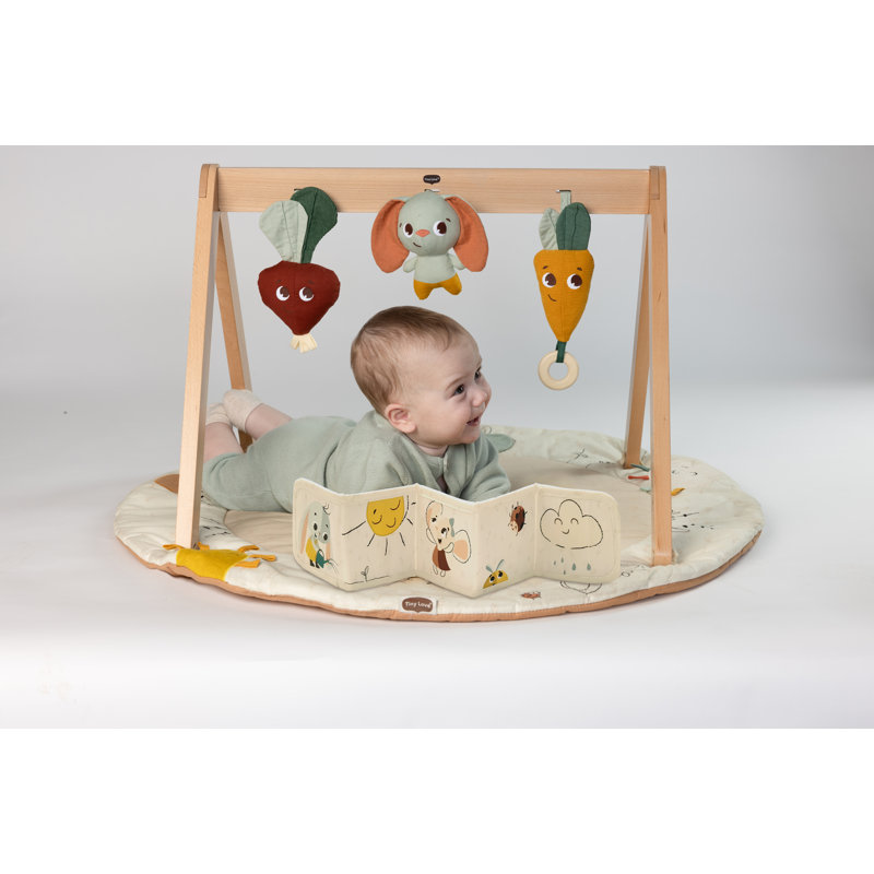 Tiny Love Luxe Developmental Gymini