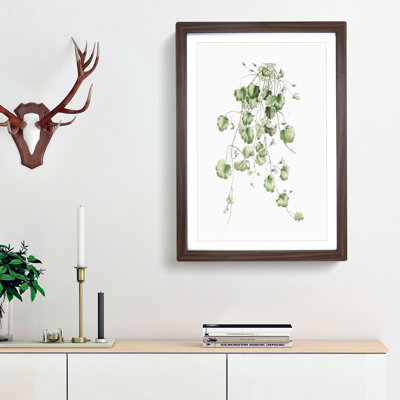 Kenilworth Ivy Flowers by Pierre-Joseph Redoute - Picture Frame Graphic Art Print