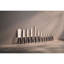 Couteau d'office 4 pouces ZWILLING Signature