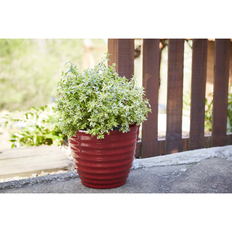 Pot à fleurs rond Beehive, Rouge