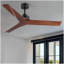 Ventilateur de plafond 52 po Lowe
