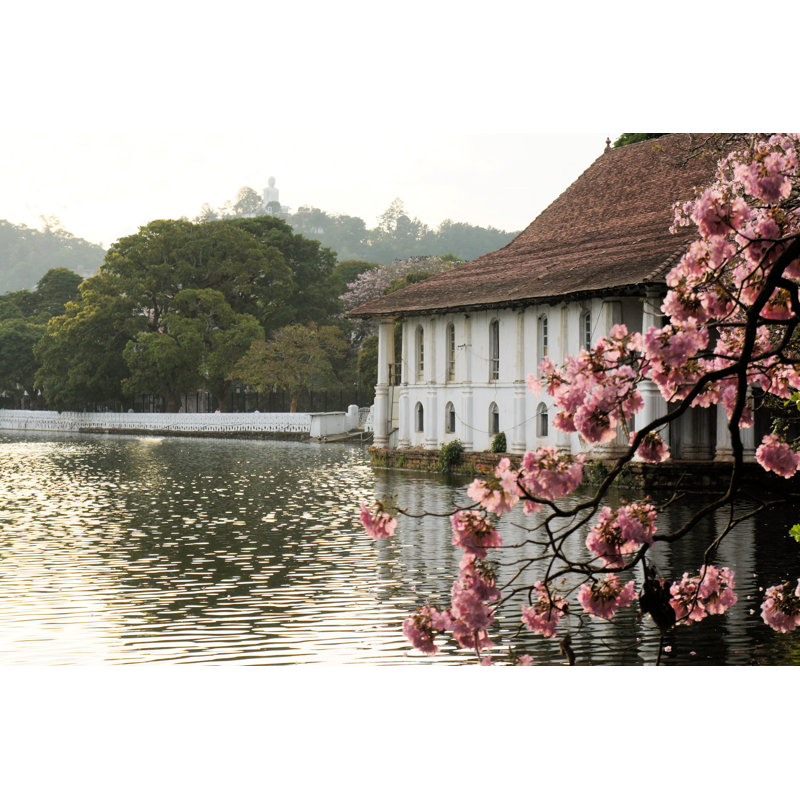 Collymore Cherry Tree, Buddha In Kandy - Wrapped Canvas Print, 61cm H x 91cm W x 3.8cm D