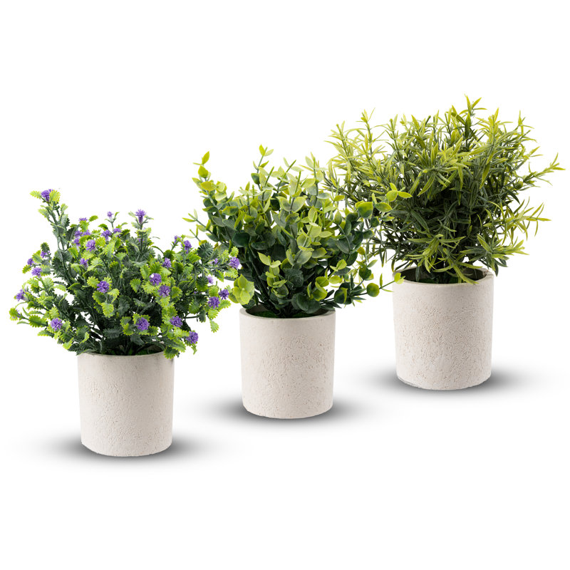 20 cm H Faux Bonsai Succulent Plant