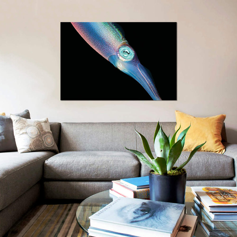 « the caraïbes récif squid », reproduction de photo sur toile, H 8 po x l 12 po x P 0,75 po, Toile tendue, Pas de tapis