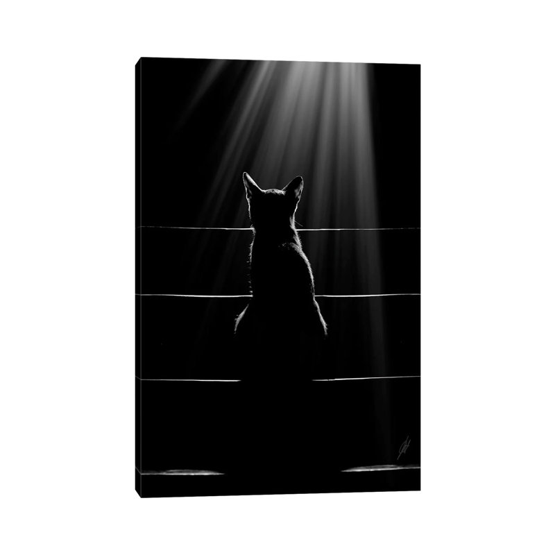 Cat Language by Kathrin Federer - Wrapped Canvas Print, 20.32 cm H x 30.48 cm W
