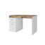 Hodgeman Computer Desk-2103840765