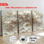 Impression sur toile 3 pièces Bonsai Magnolia White-1320499699