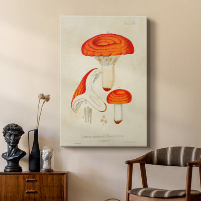 Mushroom Varieties IX -Custom Wrapped Gallery Cavas