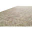 Wool Oriental Area Rug in Beige