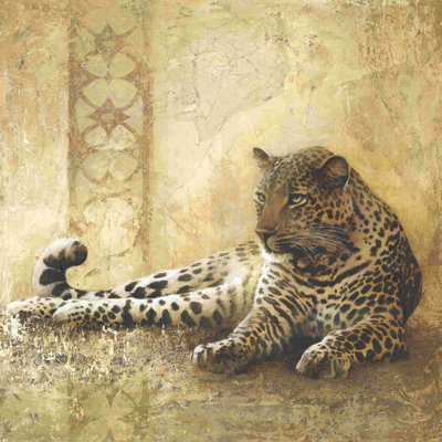 Guépard couché