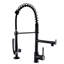Robinet de cuisine rétractable de style noir et nickel - poignée simple, options d'eau froide, rouille, évier contemporain commercial avec nickel rétractable, construction robuste, eau, apparence moderne
