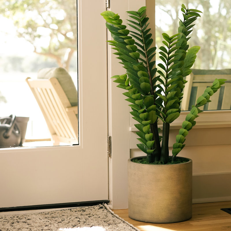 Plante ZZ de 99 cm (39 po) en céramique gris ciment, Cement Gray