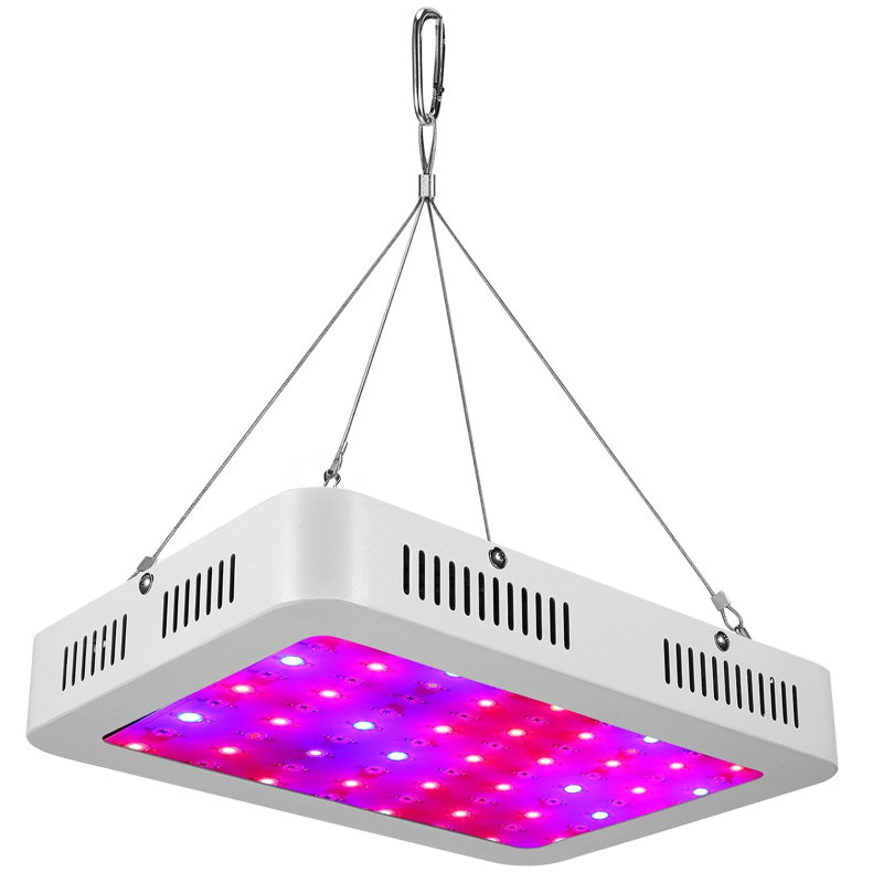 CG INTERNATIONAL TRADING Grow Light