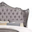 Lit standard Millsap-1761686221-1795664303