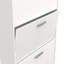 Barbaa 12 Pair Shoe Storage Cabinet