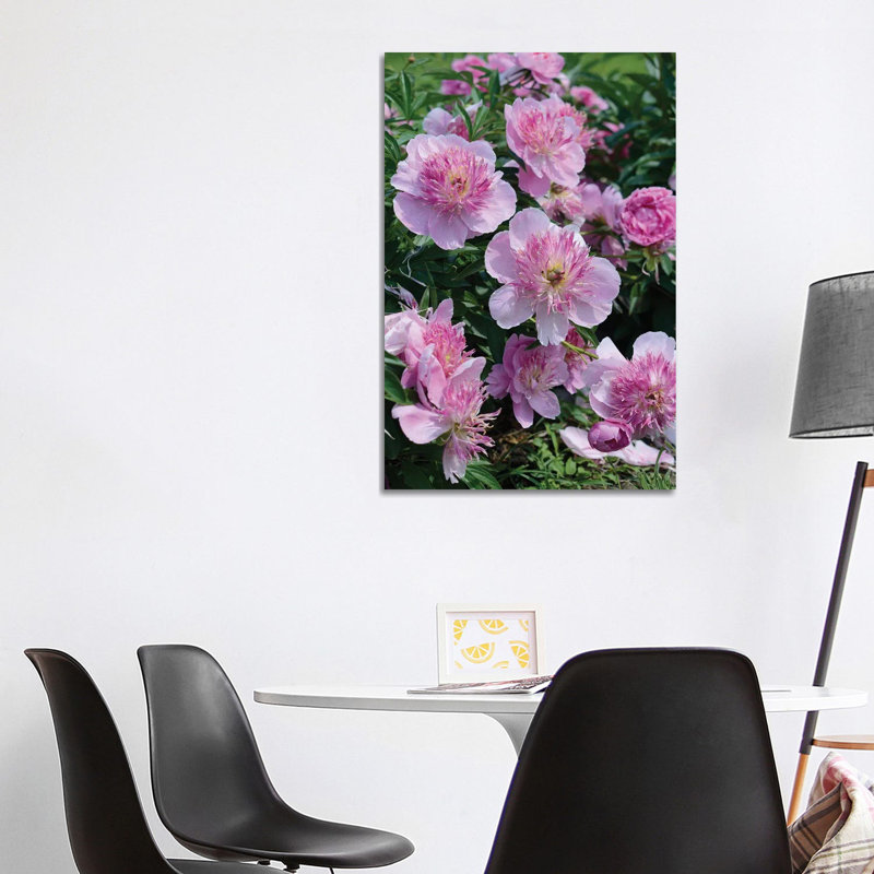 Garden of Blooming Peony II 1 Piece Wrapped Canvas Wall Art, 101.6 cm H x 66.04 cm W x 3.175 cm D