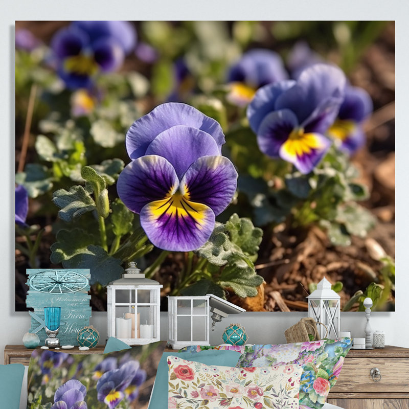 «Purple Yellow Pansies Harmony I» sur toile, 30" H x 40" W, Toile tendue