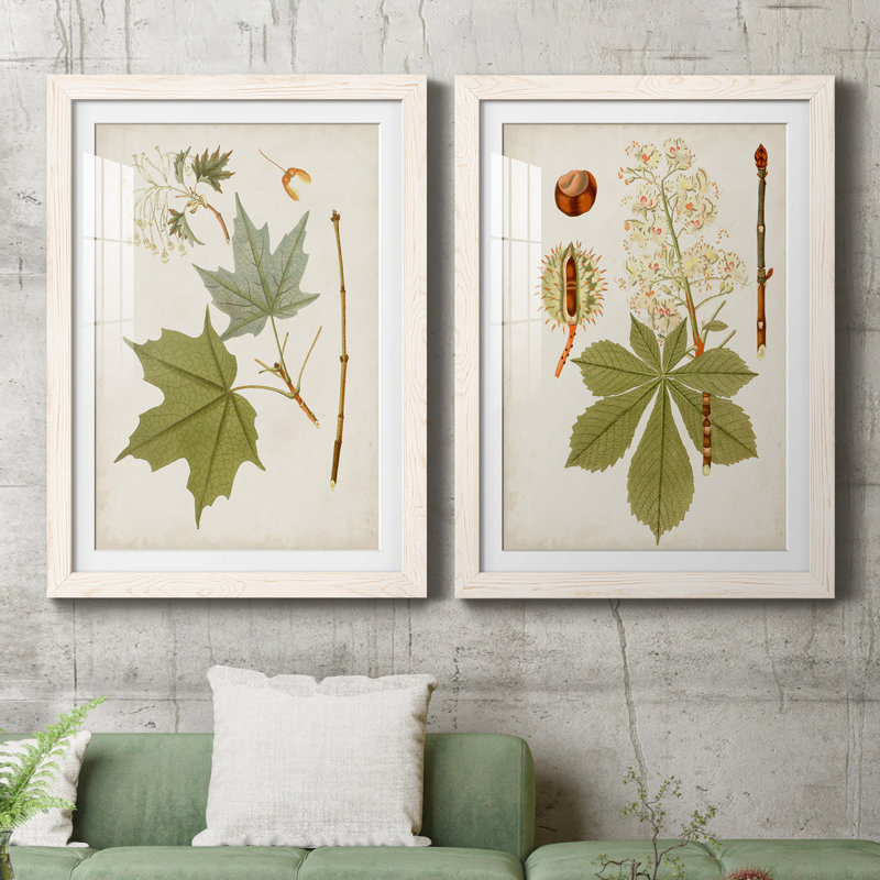 Antique Leaves VII - ensemble de 2 reproductions d'art sur papier encadré, H 31,5 po x l 47 po x P 1,5 po